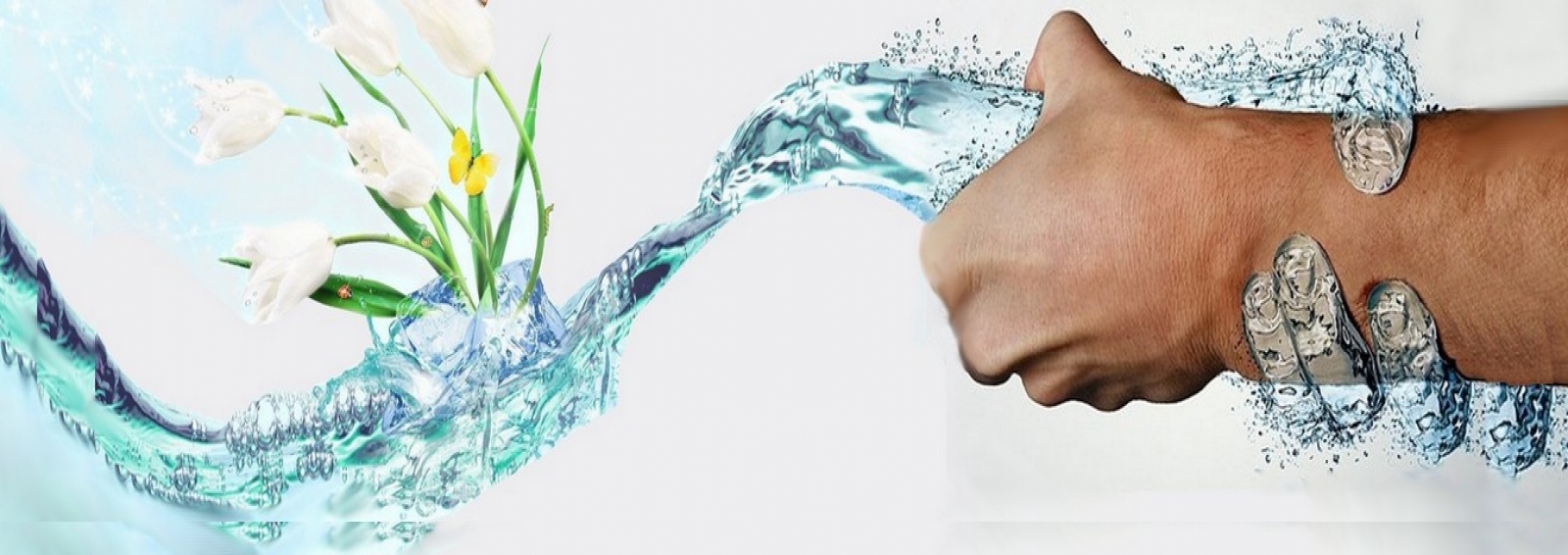 HİJYEN EĞİTİMİ HİJYEN EĞİTİMİ